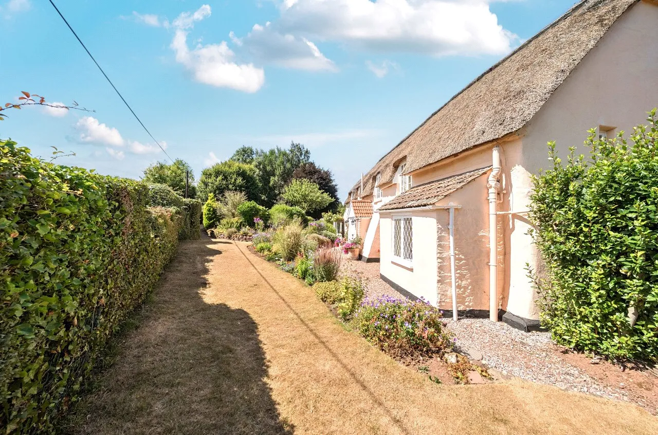 Spaxton, Bridgwater, Somerset, TA5 1AJ, photo 39