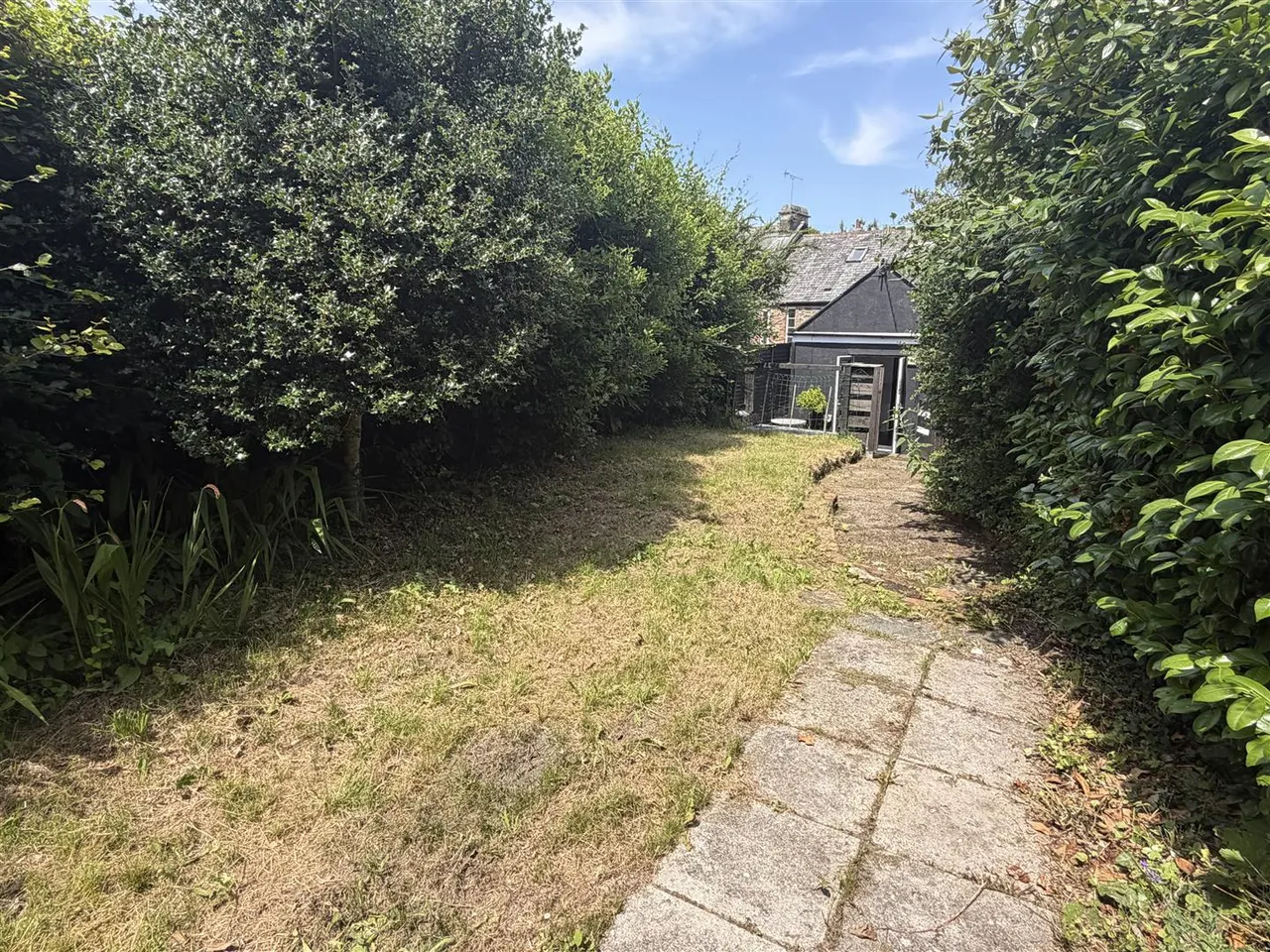 Bodmin Hill, Lostwithiel, photo 14