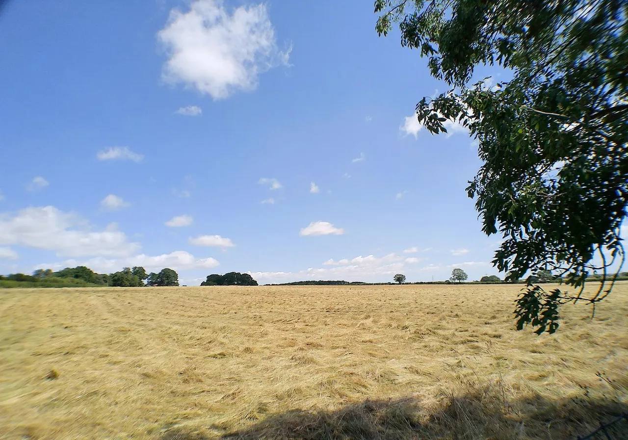 Spring Lane, Flintham, NG23, photo 32