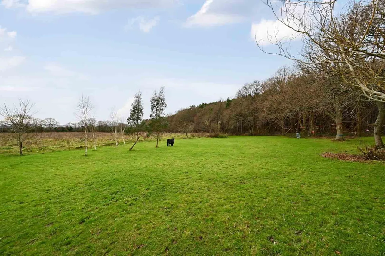 Park Lane, Laughton, BN8, photo 20