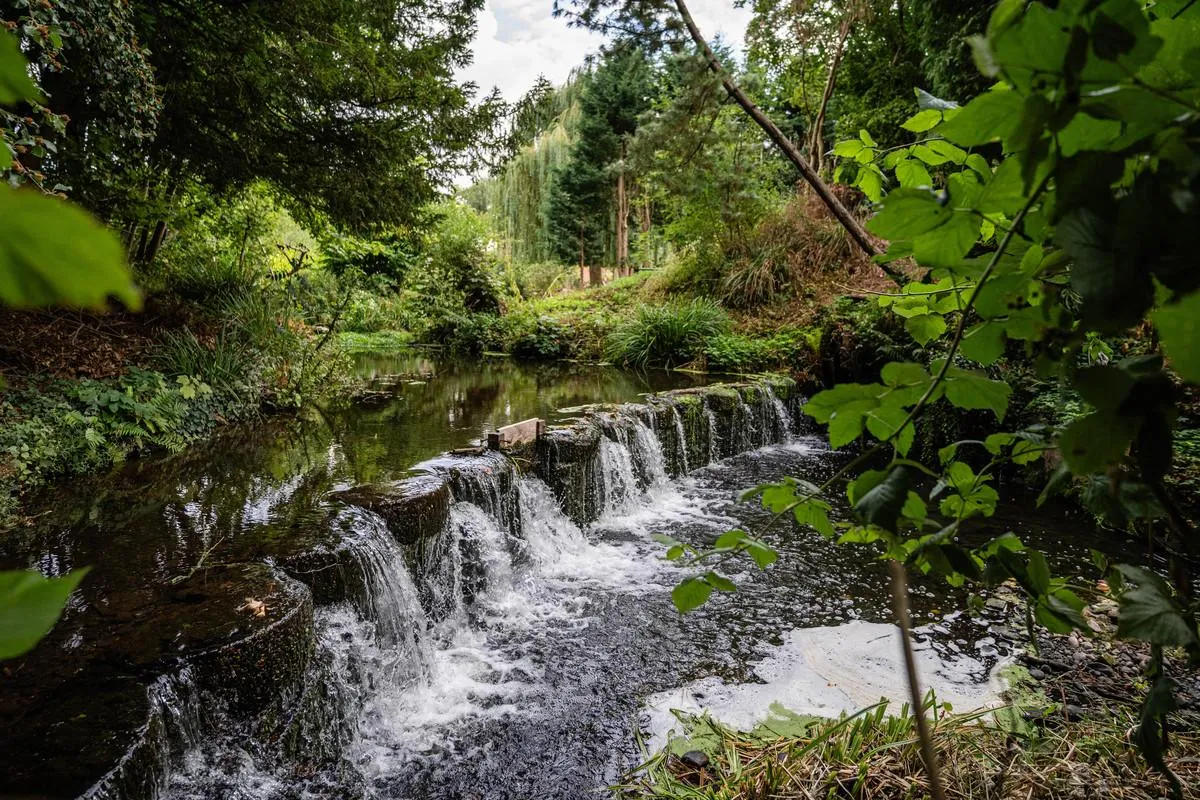 Hillpool, Kidderminster, DY10, photo 46
