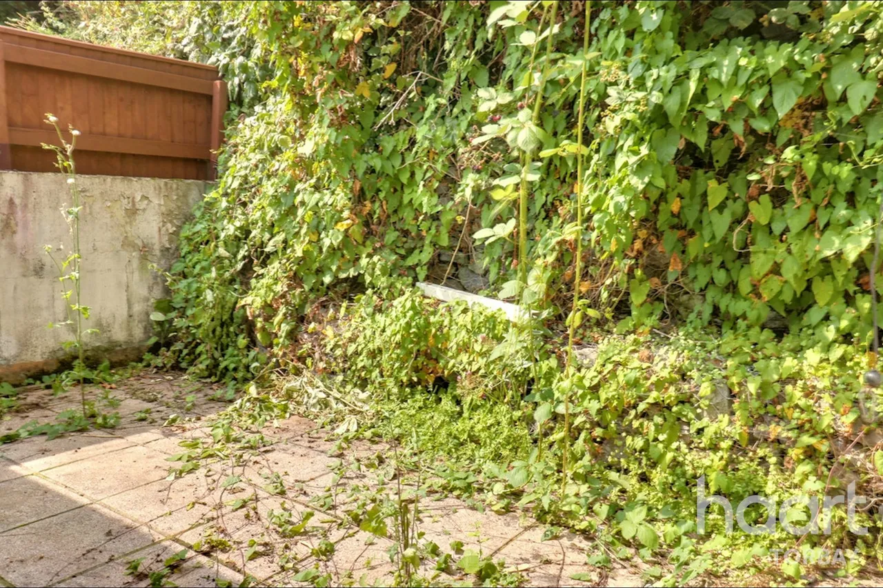 Briary Lane, Torquay, TQ1, photo 4