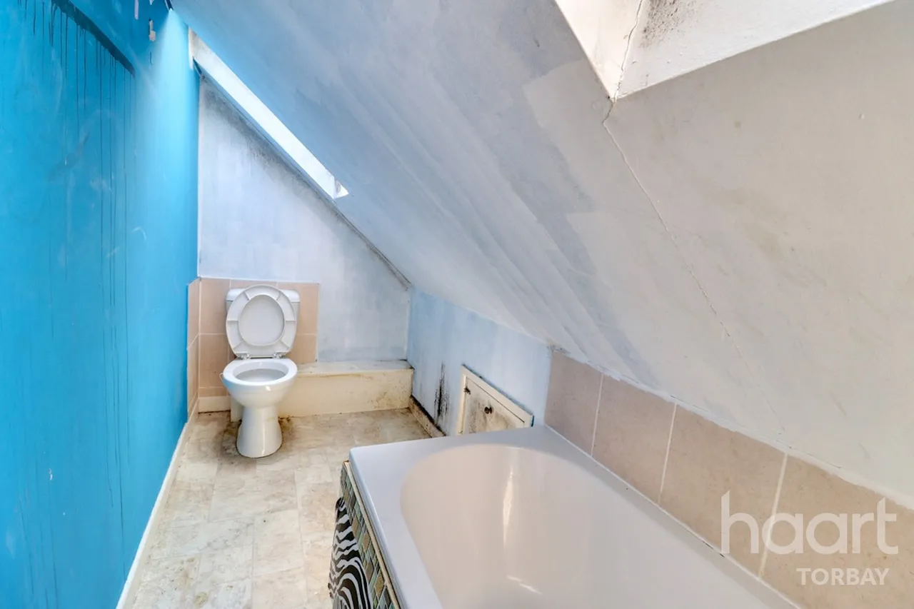 Briary Lane, Torquay, TQ1, photo 13