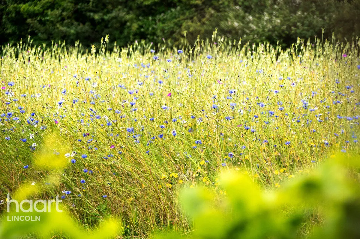 Marton Meadows, Gainsborough, DN21, photo 13