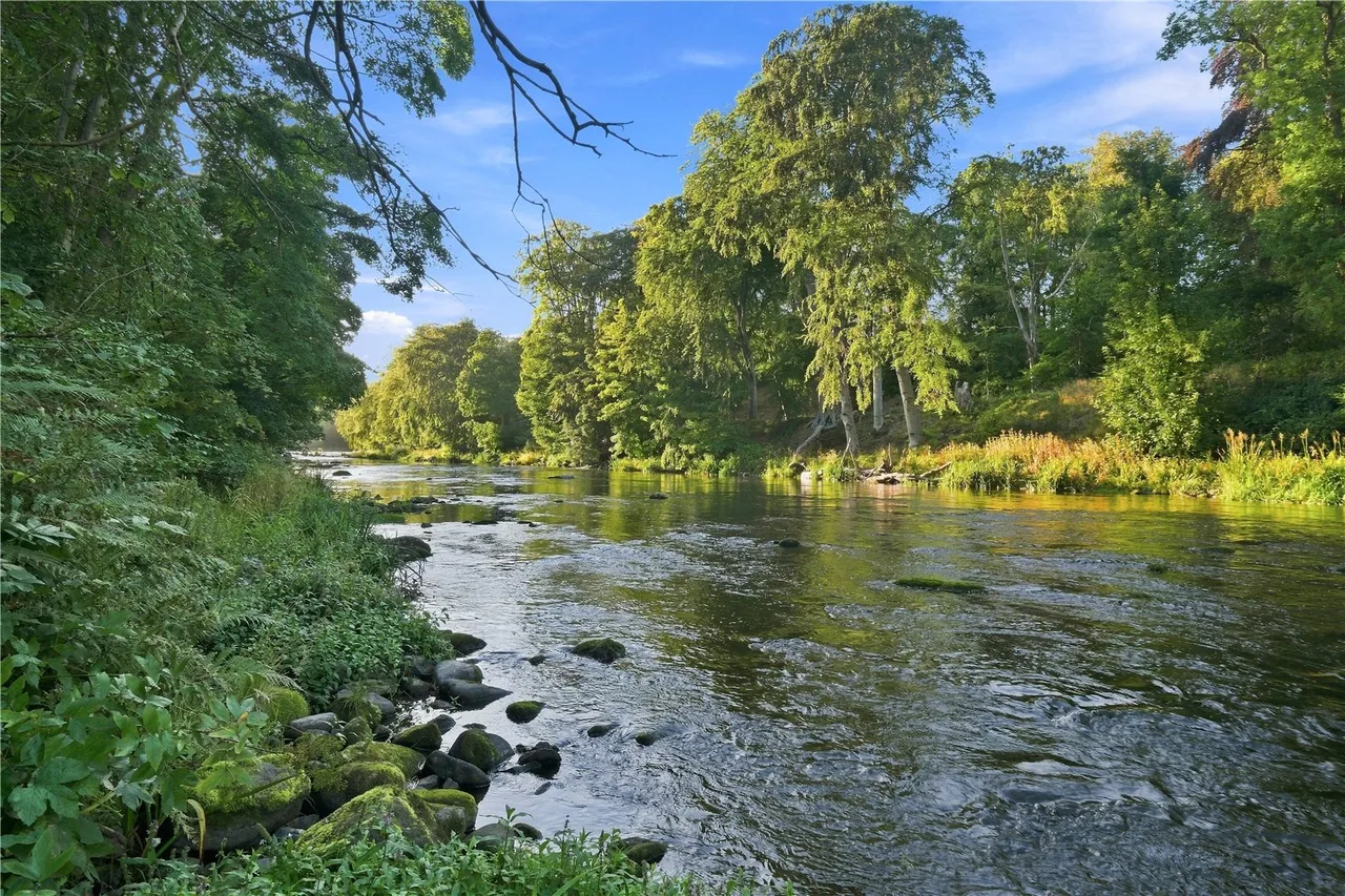 Persley Den Gardens, Aberdeen, AB21, photo 14