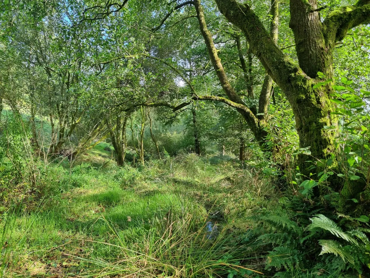 Pumpsaint, Llanwrda, SA19, photo 4