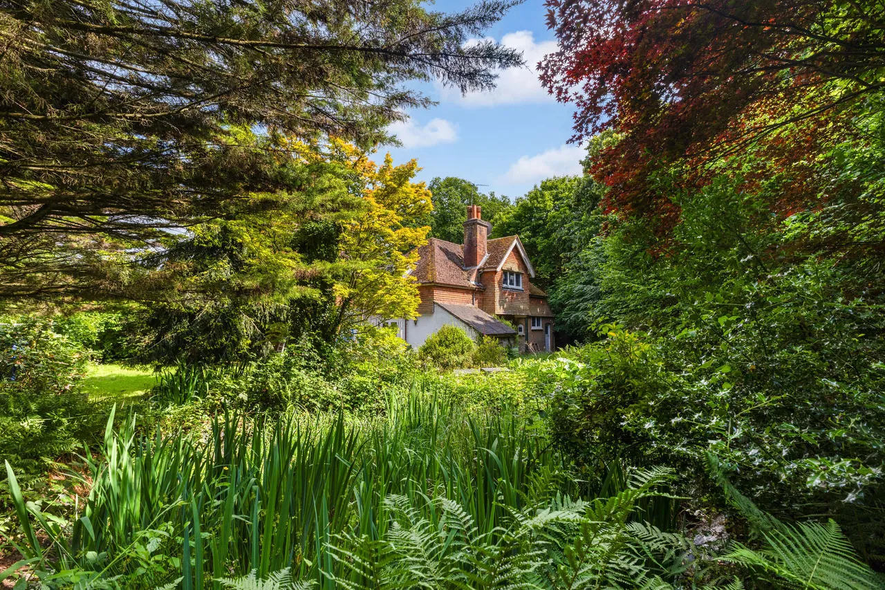 4 bed house for sale — Rodgate Lane, Haslemere, GU27