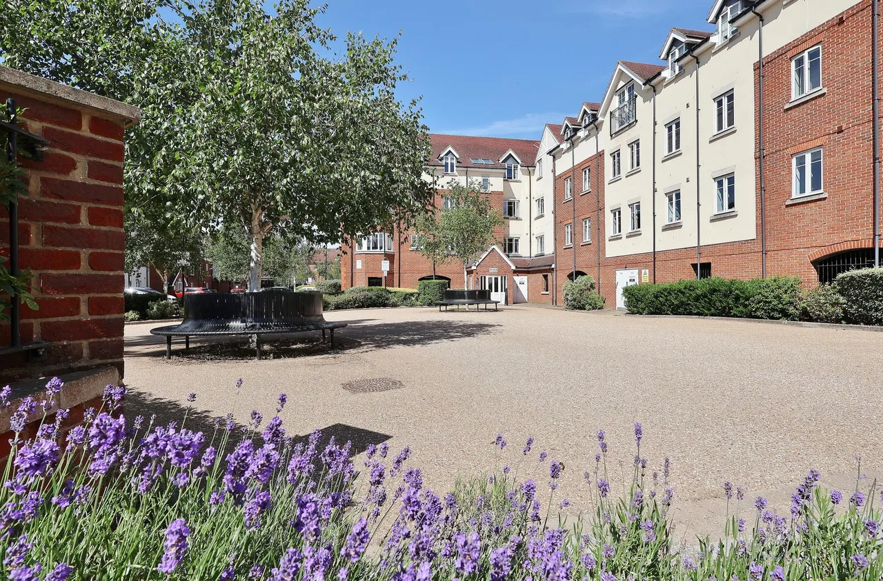Whinbush Road, Hitchin, SG5, photo 21