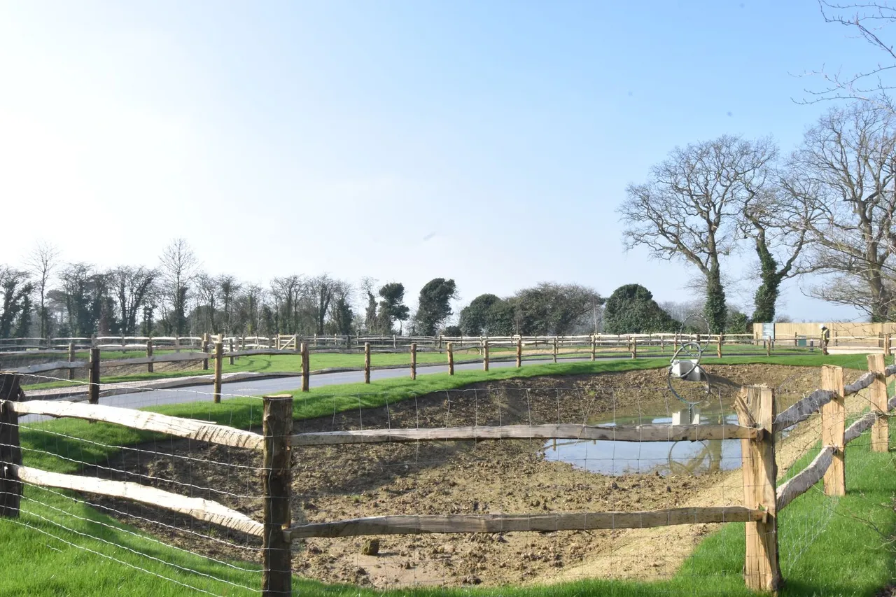 Sutton Valence, Maidstone, photo 14