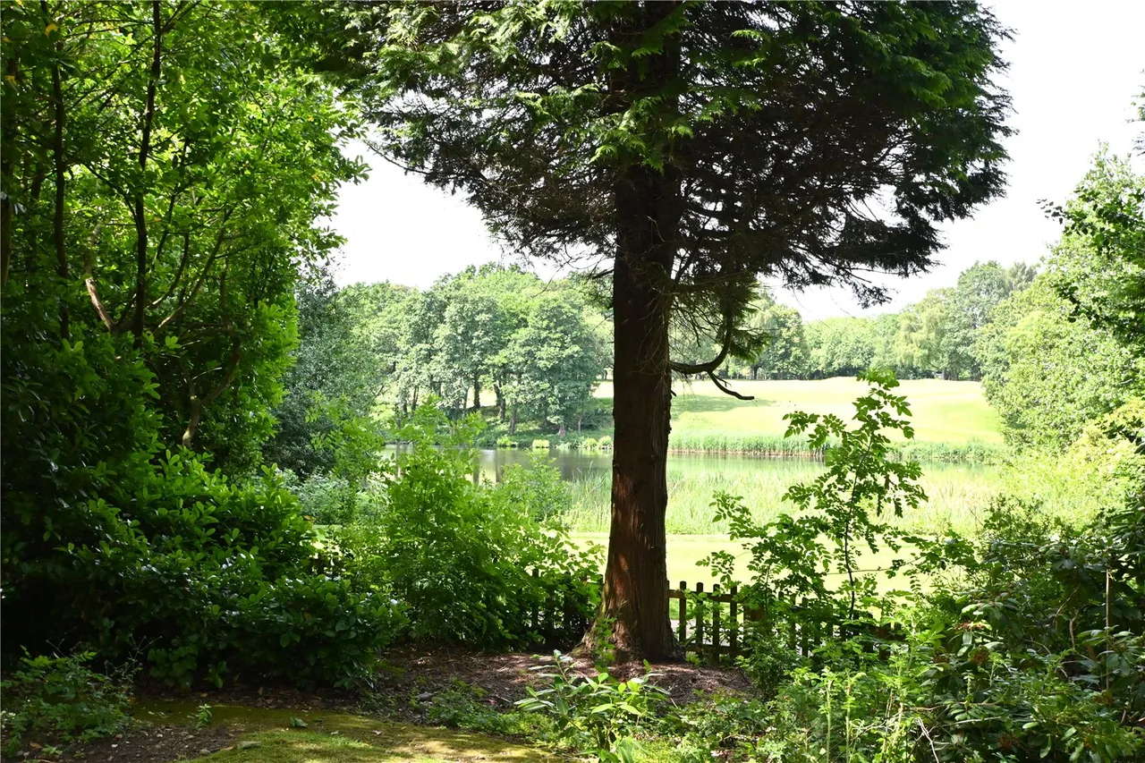 Hawthorne Gardens, Moseley, Birmingham, B13 0BE, photo 16