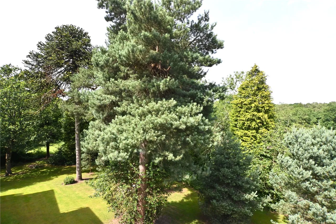 Hawthorne Gardens, Moseley, Birmingham, B13 0BE, photo 15