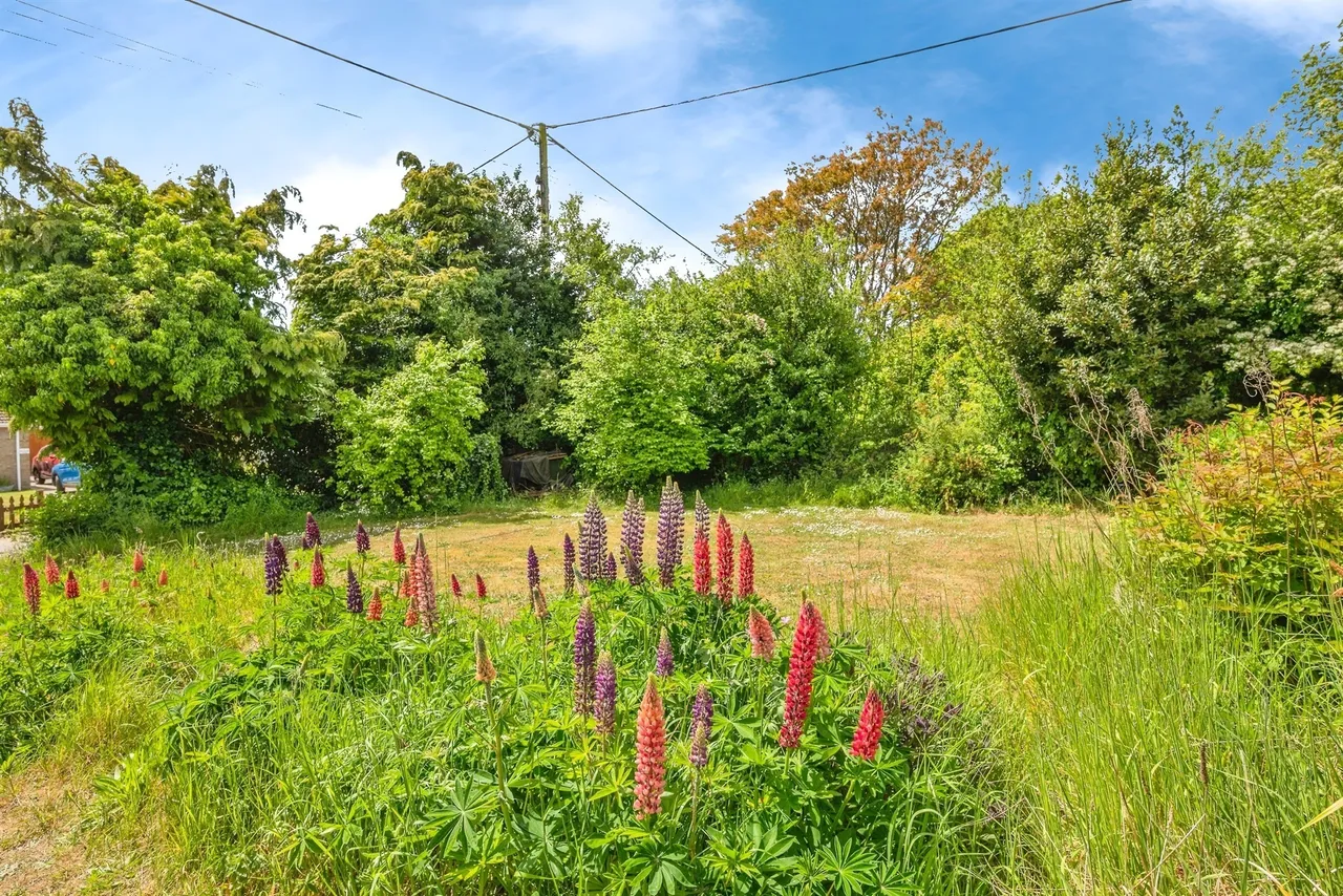 The Street, Little Barningham, NR11, photo 4