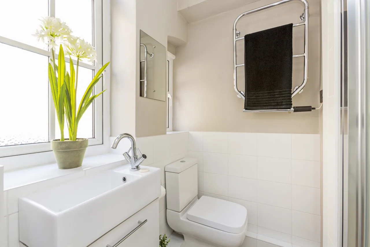 Sheridan Buildings, Martlett Court, WC2B, photo 4