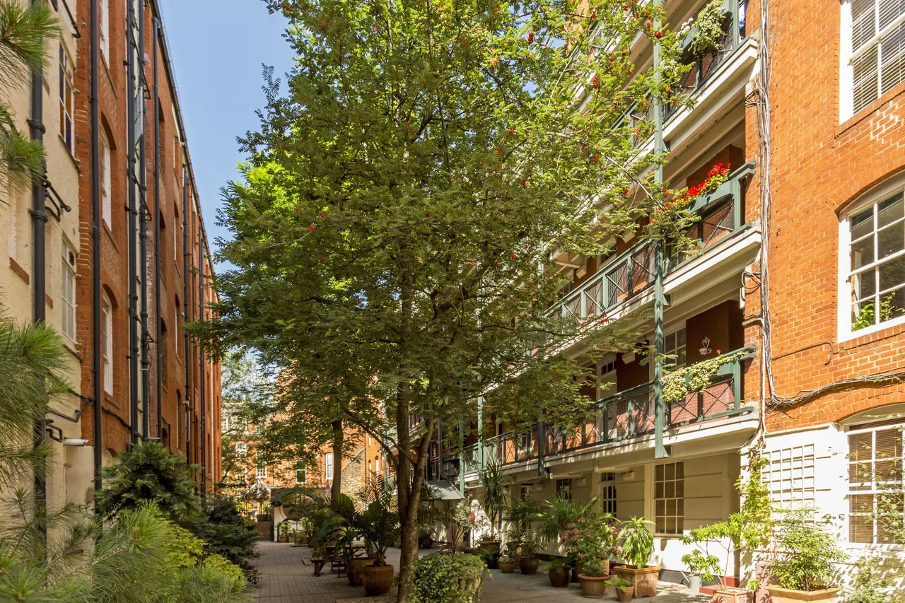 Sheridan Buildings, Martlett Court, WC2B, photo 8