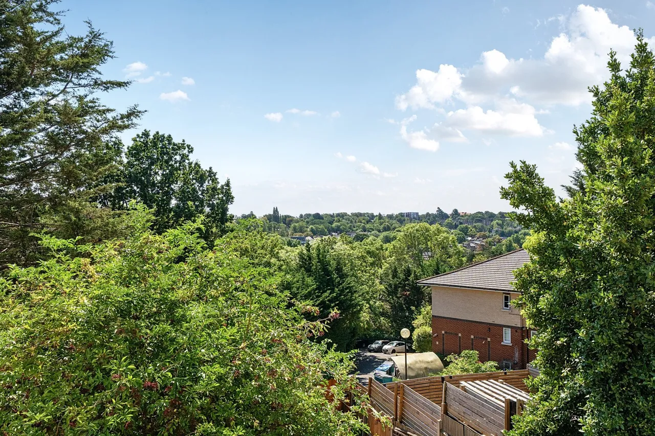 Overhill Road, SE22, photo 14