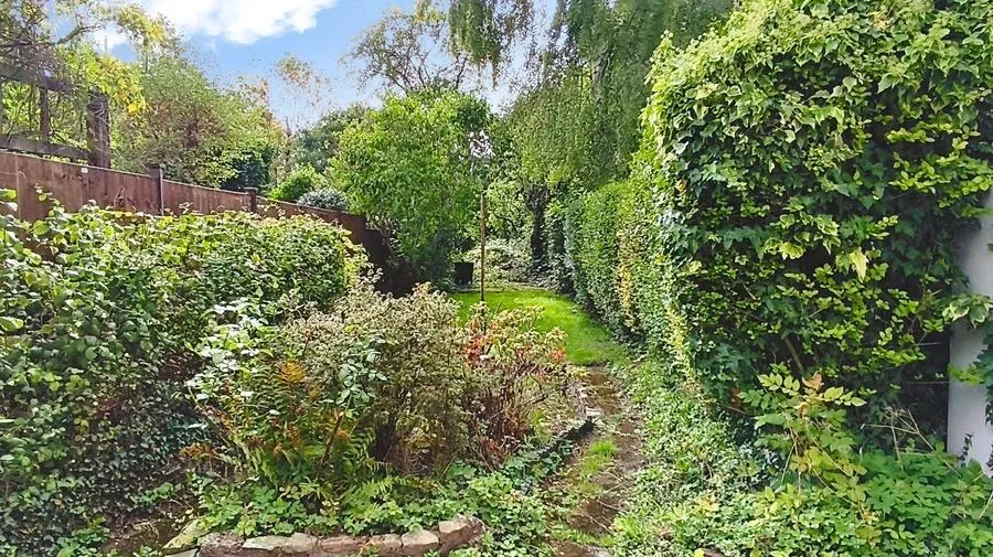 Taylor Road, Kings Heath, B13, photo 21