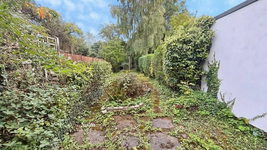 Taylor Road, Kings Heath, B13, photo 22
