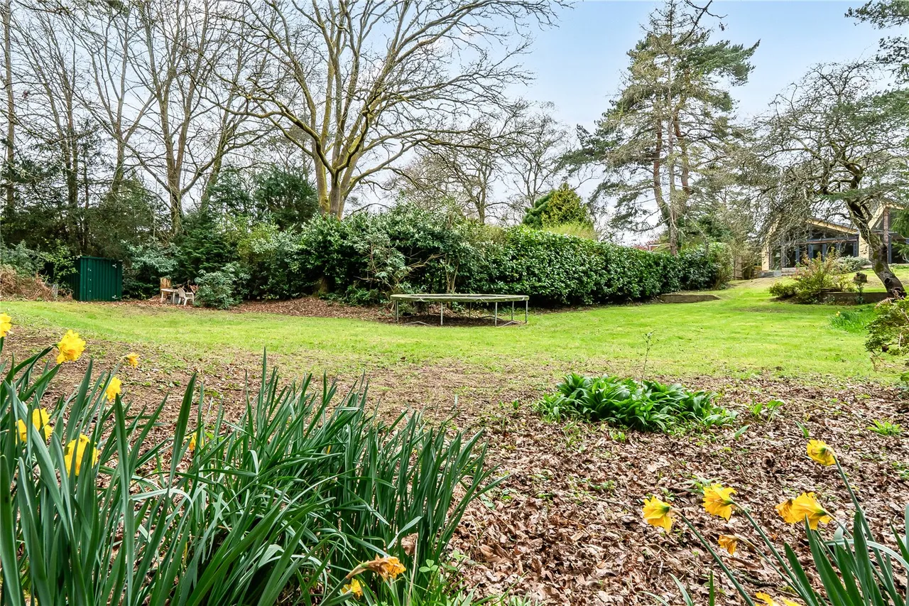 Whinwhistle Road, East Wellow, Romsey, Hampshire, SO51 6BH, photo 3