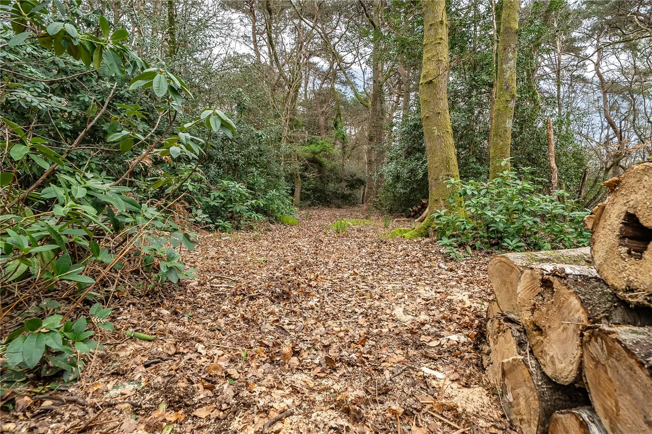 Whinwhistle Road, East Wellow, Romsey, Hampshire, SO51 6BH, photo 4