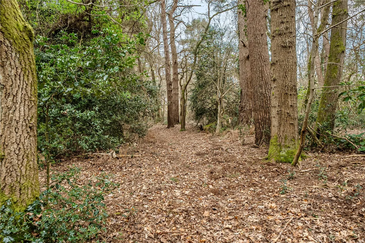 Whinwhistle Road, East Wellow, Romsey, Hampshire, SO51 6BH, photo 22