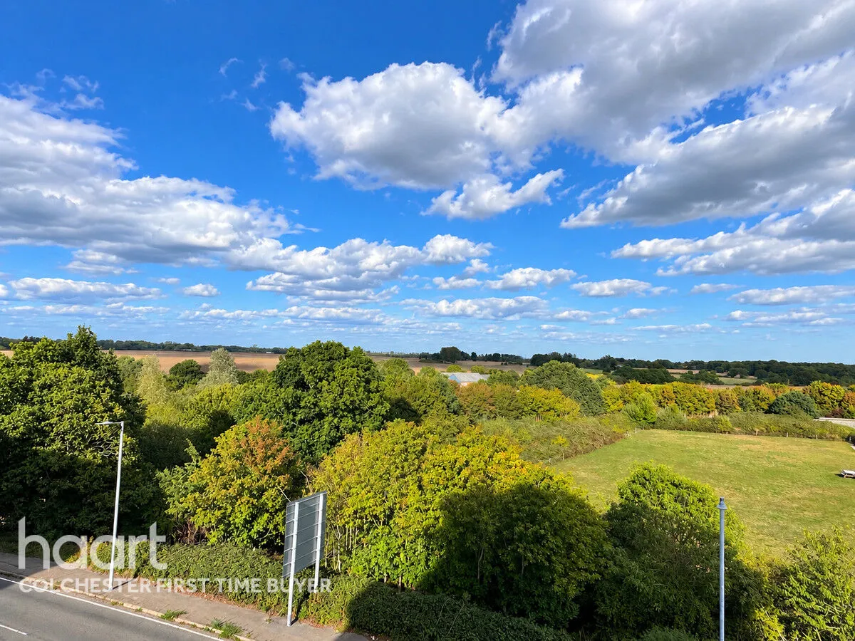 De Grey Road, Colchester, CO4, photo 15