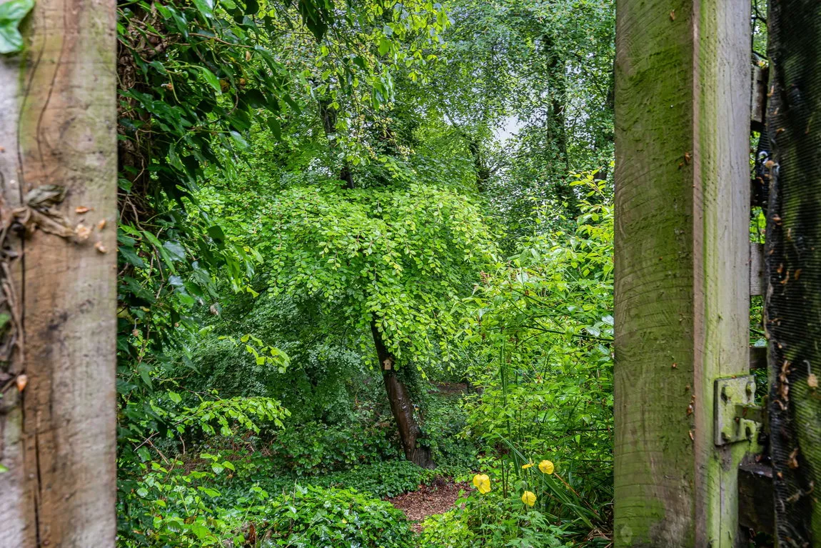 Badgers Way, Marlow, SL7 3QU, photo 31
