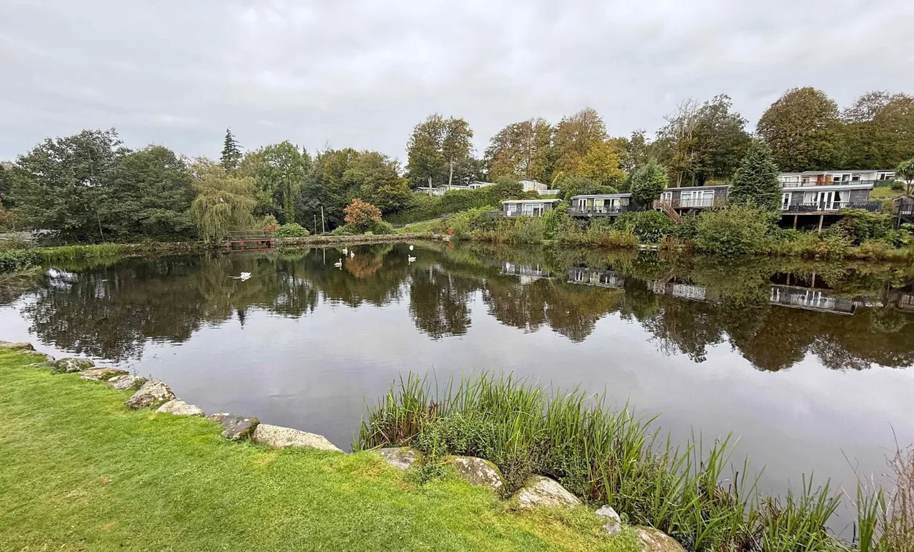 Caeathro, Caernarfon, LL55, photo 10