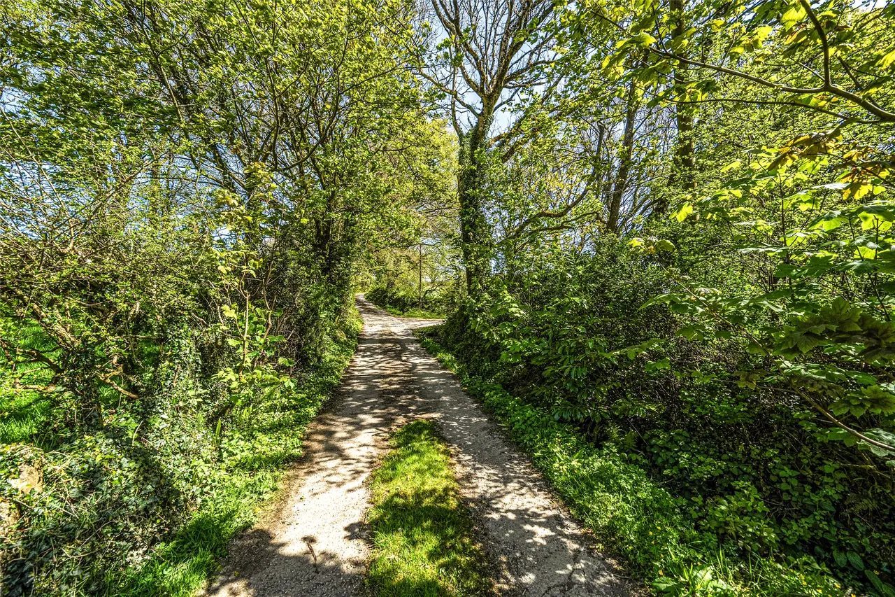 Warbstow, Launceston, PL15, photo 21