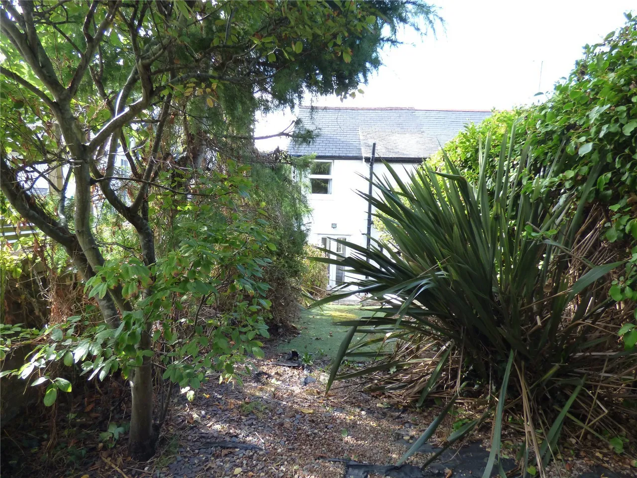 Woodlands, Gyffin, LL32, photo 14