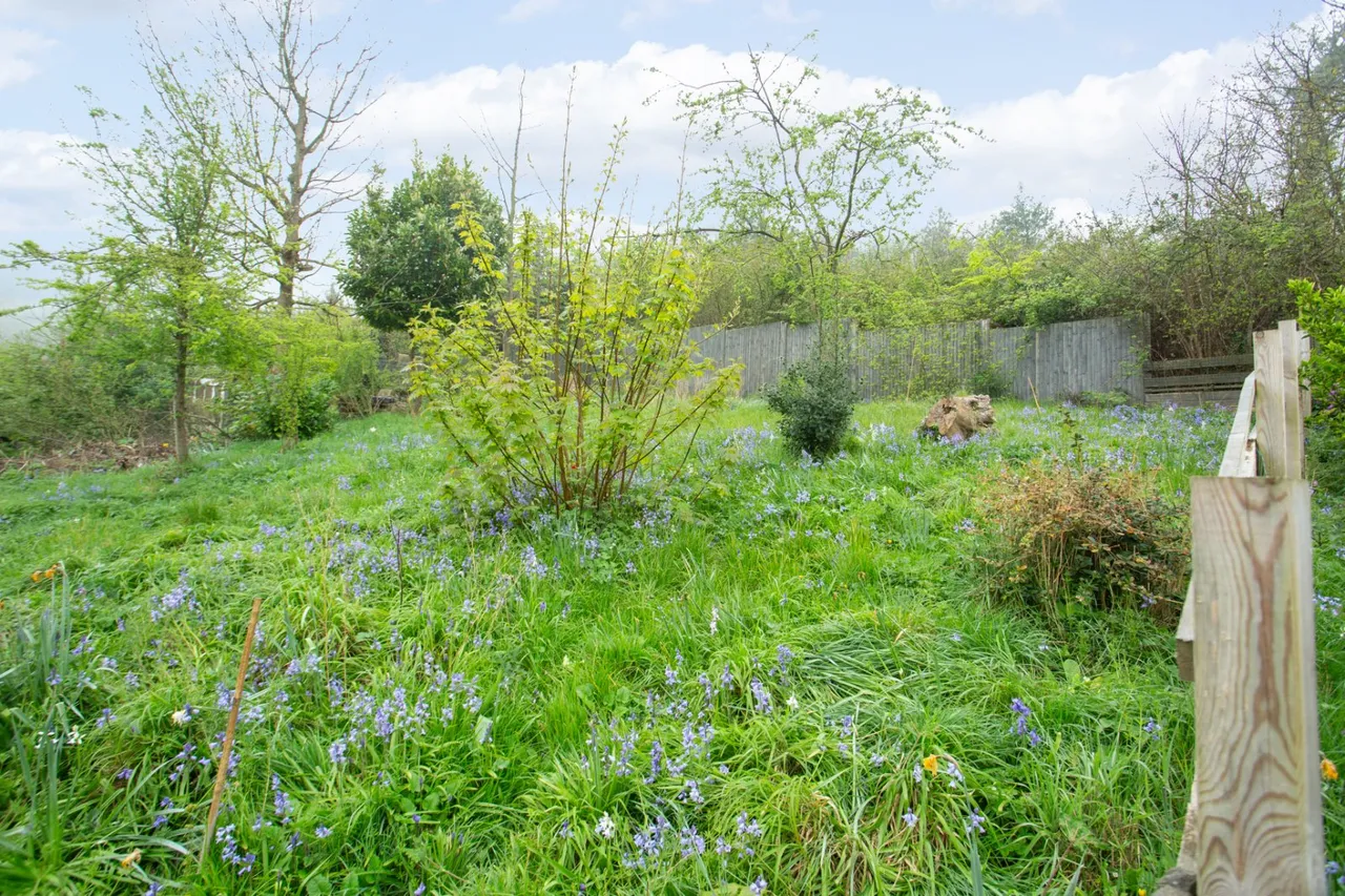 Newbury Close, Dover, CT17, photo 20