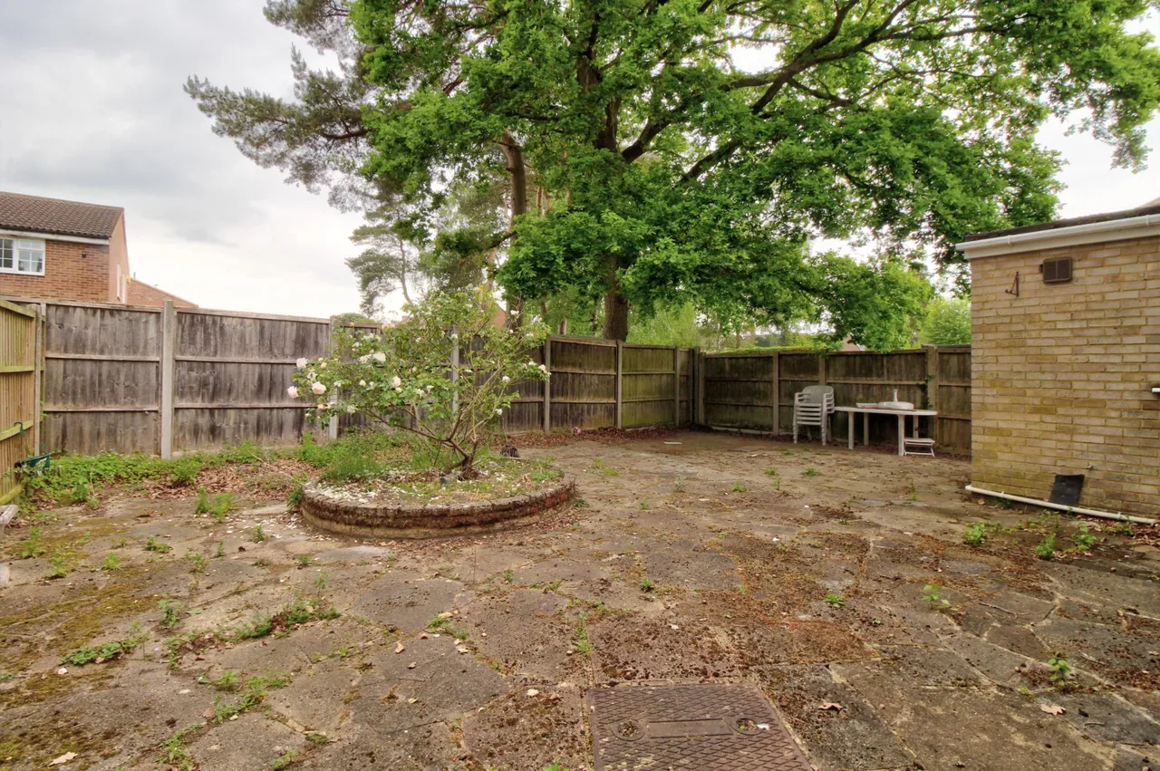 Oak Avenue, Sandhurst, GU47, photo 17