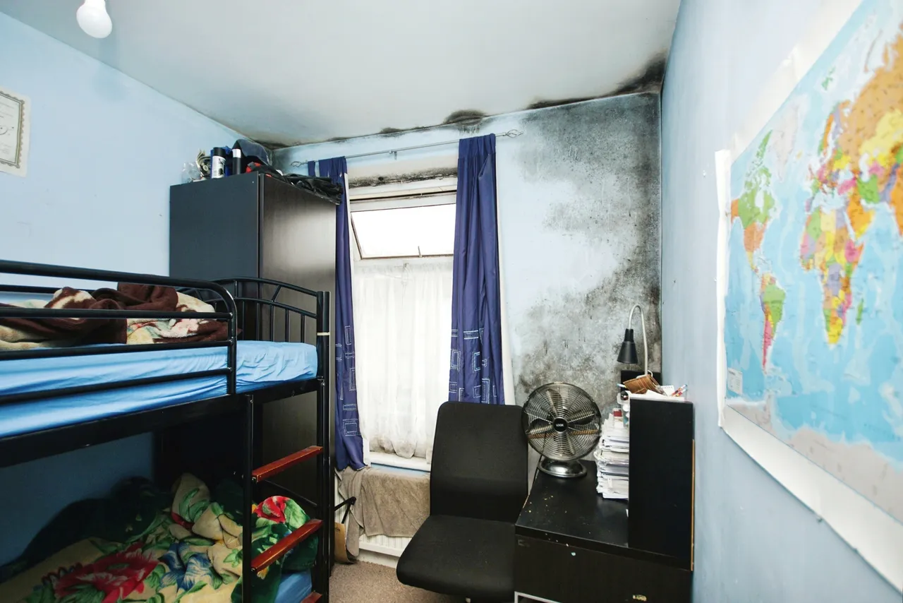 Tredegar Road, Bristol, BS16, photo 16