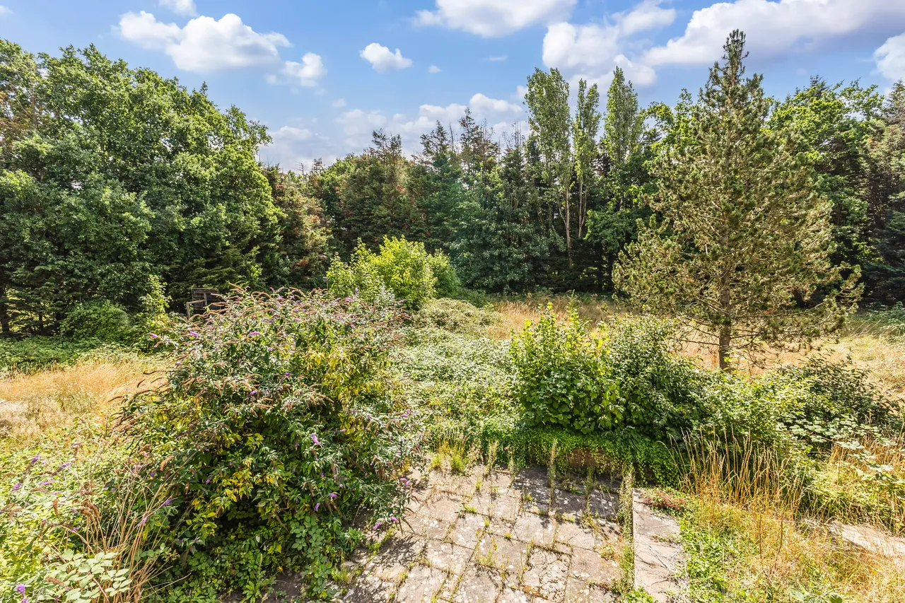 Ruxbury Road, Chertsey, KT16, photo 5