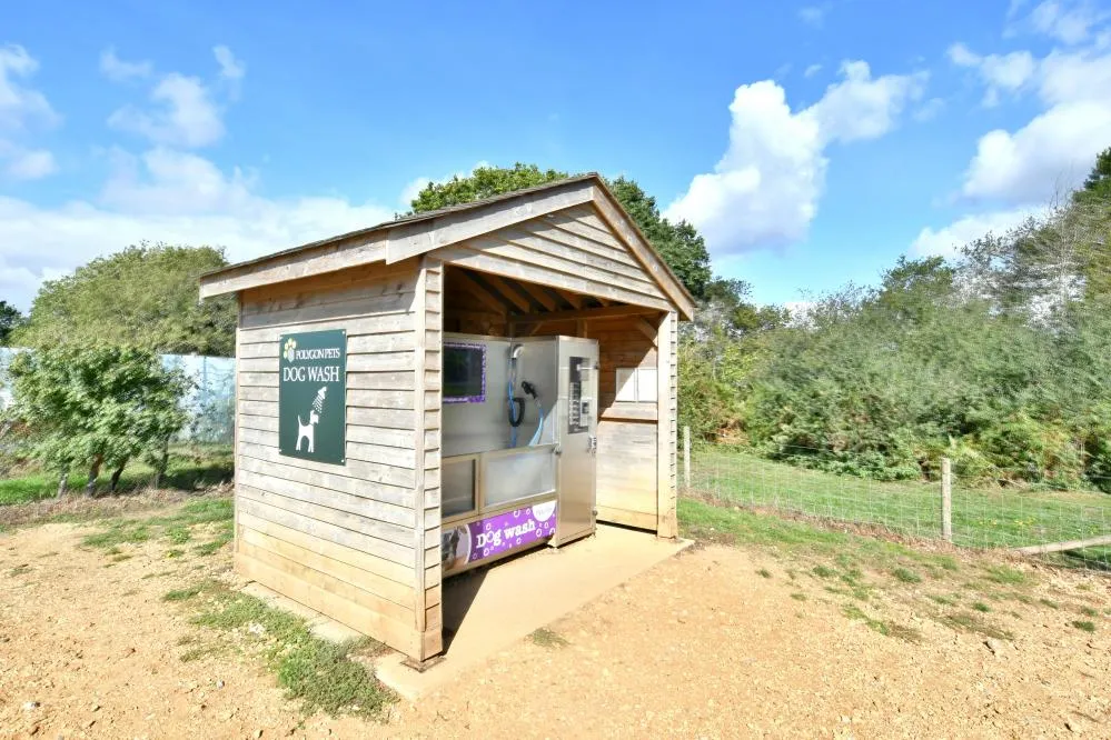 Beaumaris Road, Bournemouth, BH11, photo 23