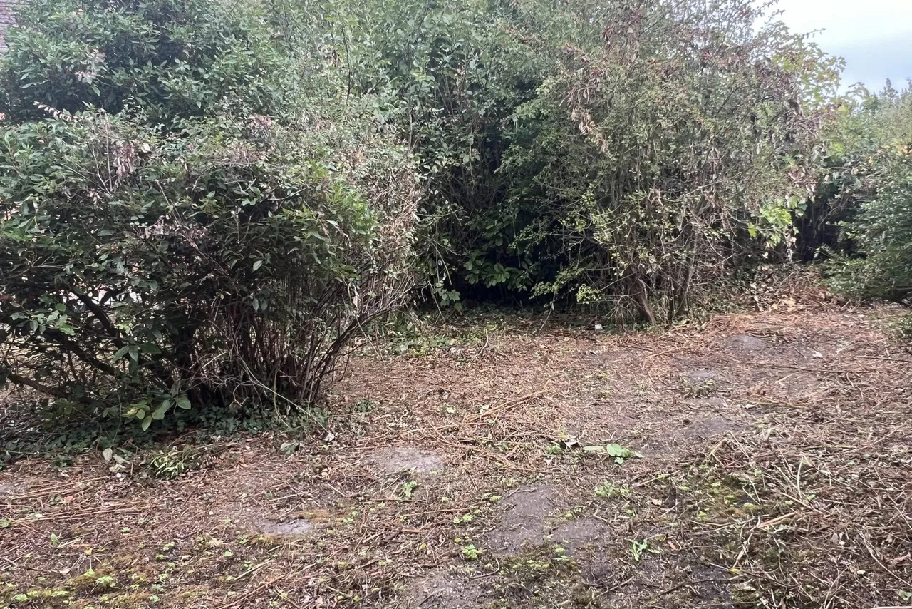 Hill Corner, Great Cheverell, SN10, photo 18