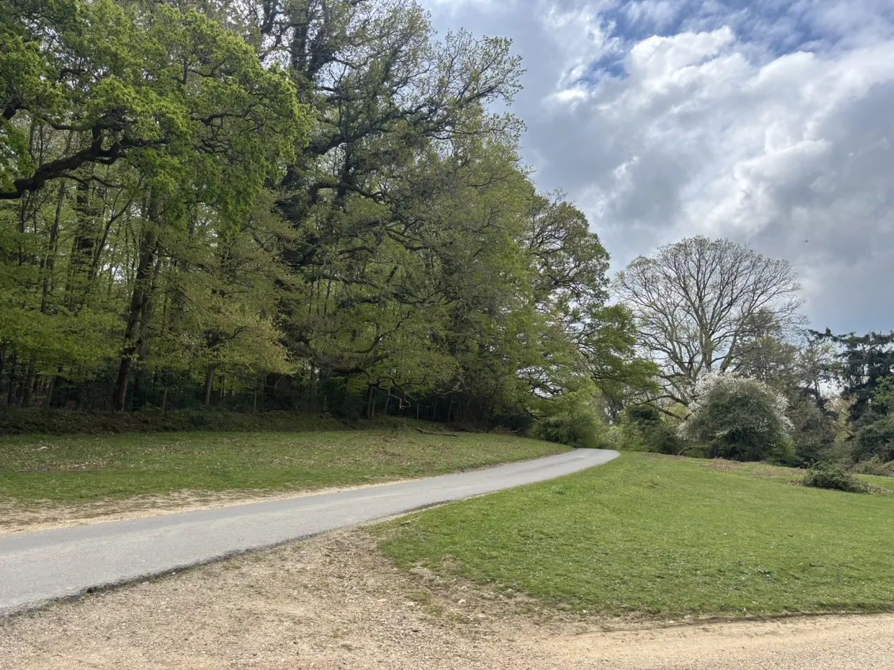 Godshill Wood, Fordingbridge, SP6 2LU, photo 16