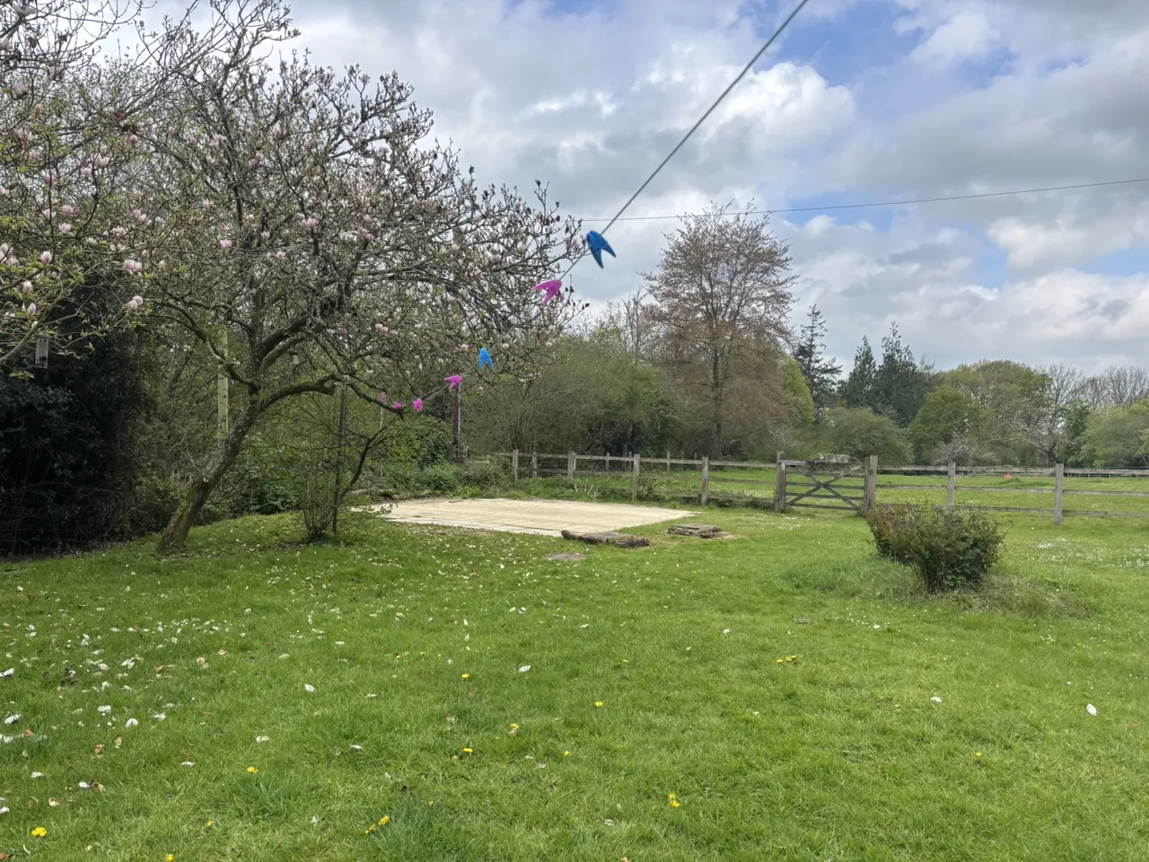 Godshill Wood, Fordingbridge, SP6 2LU, photo 14