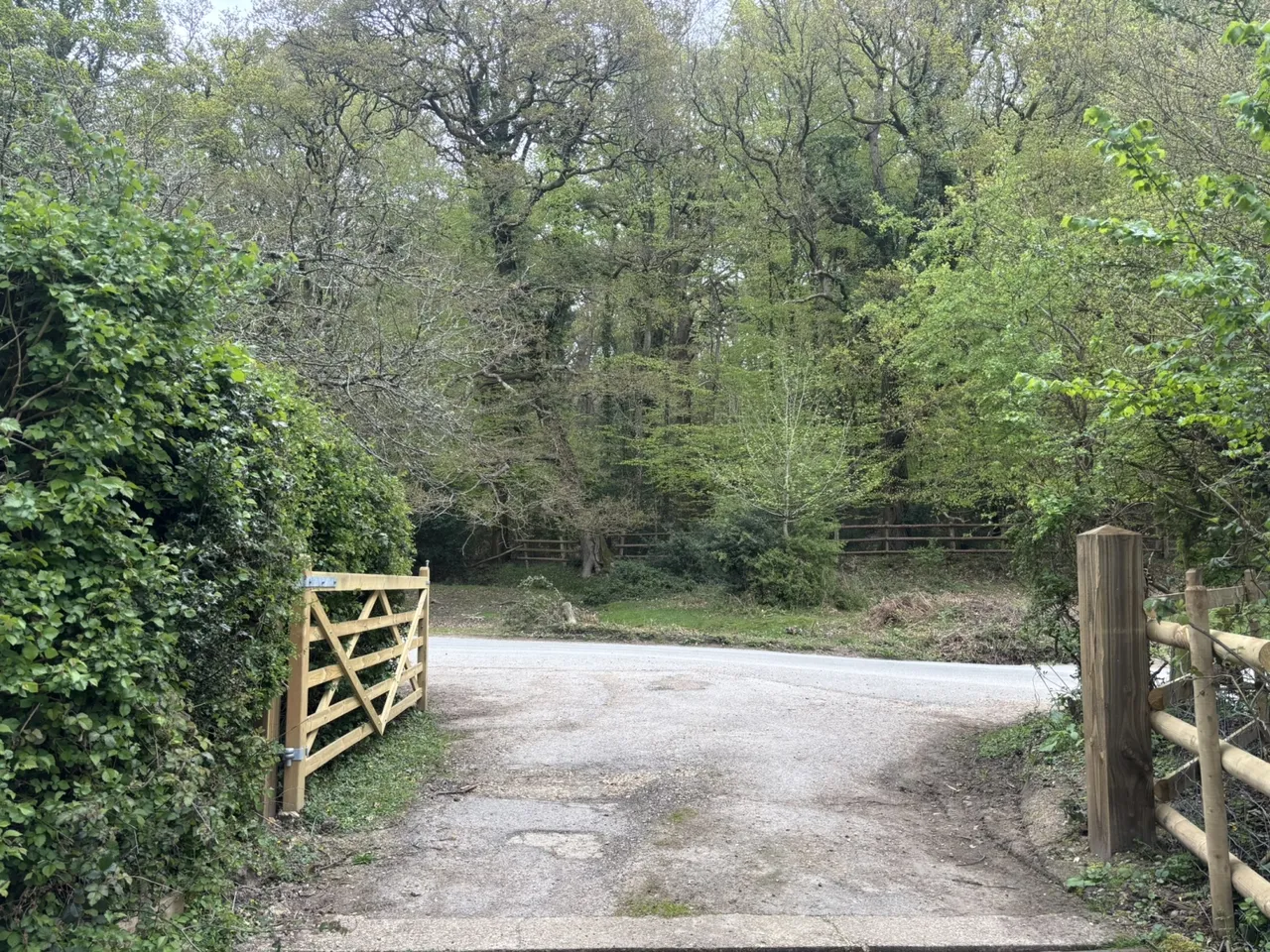 Godshill Wood, Fordingbridge, SP6 2LU, photo 15