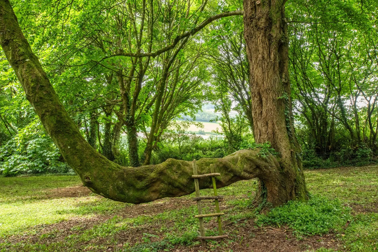 Lurley, Tiverton, EX16, photo 16