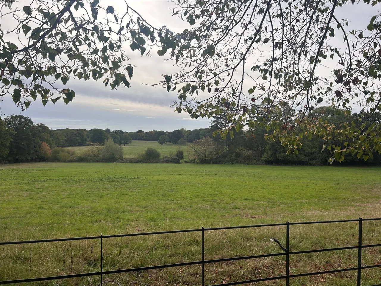 South Park Lane, Bletchingley, RH1, photo 13