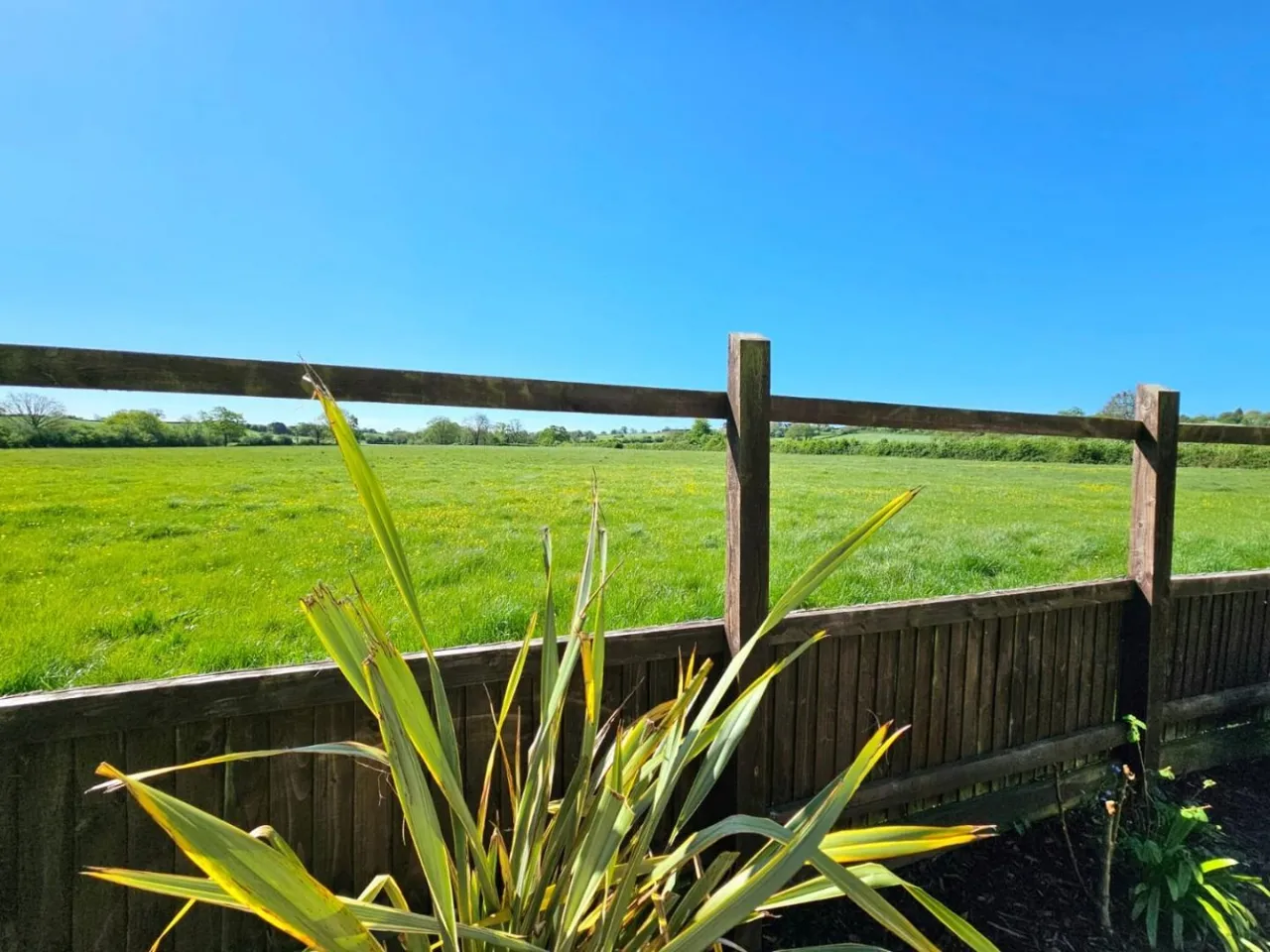 Woodlands Road, Charfield, GL12, photo 22