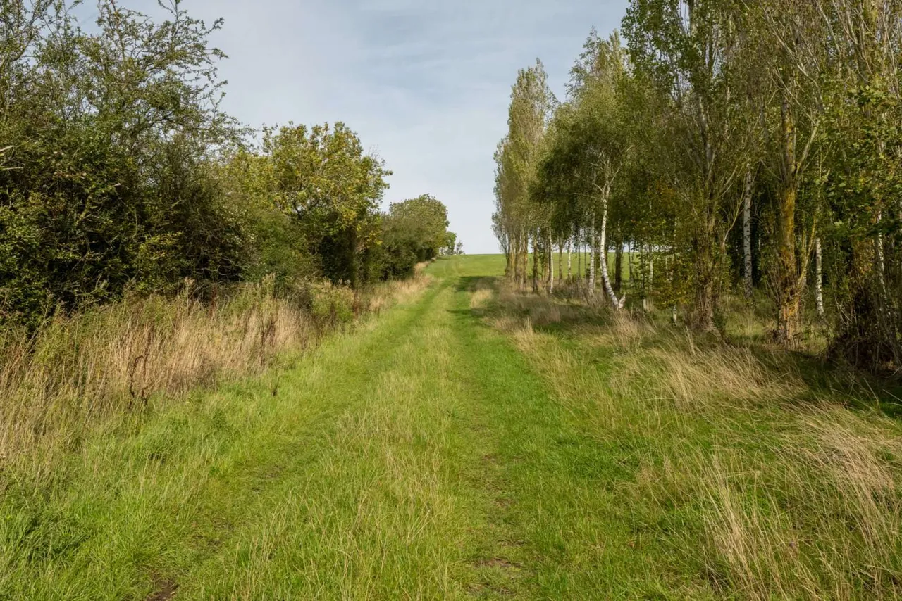 College Farm Road, Belton in Rutland, LE15, photo 28