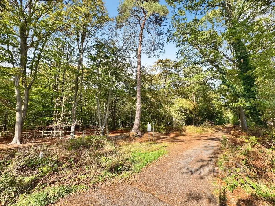 Hurst Avenue, Blackwater, GU17, photo 13