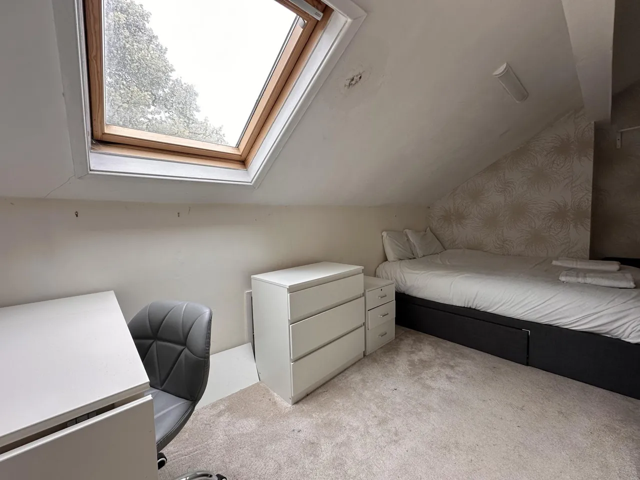 Burley Lodge Road, Leeds, LS6, photo 8