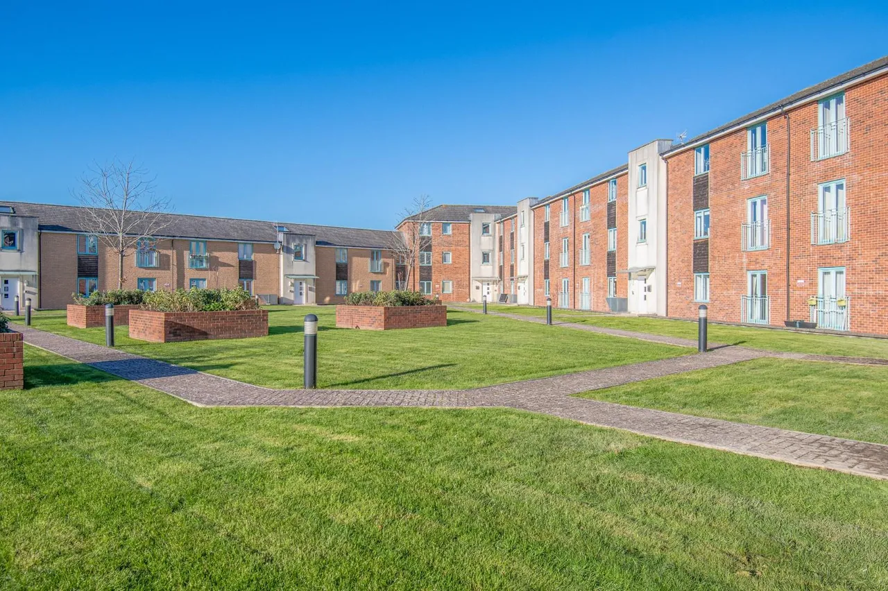 Tinning Way, Eastleigh, SO50 9QH, photo 11
