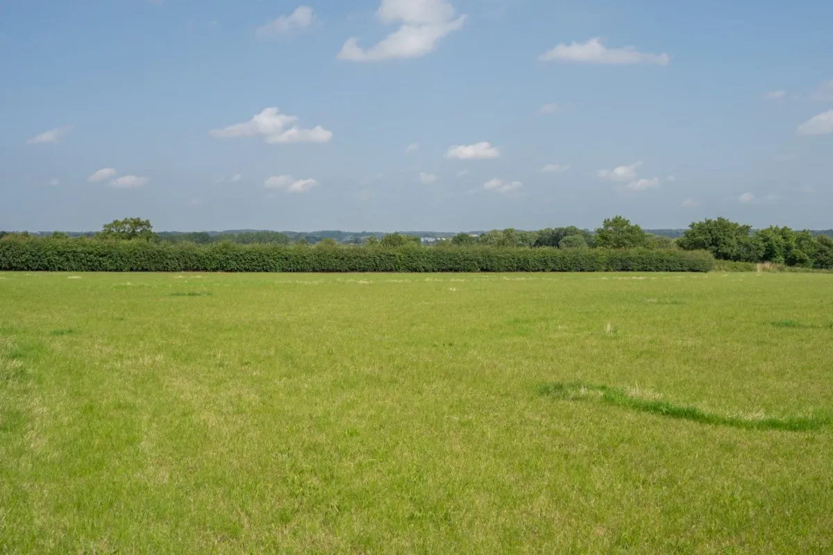 Shipmeadow, Beccles, photo 8