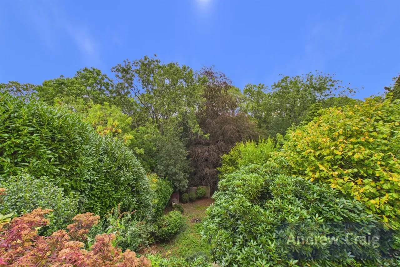 Sunniside Road, Sunniside, NE16, photo 22