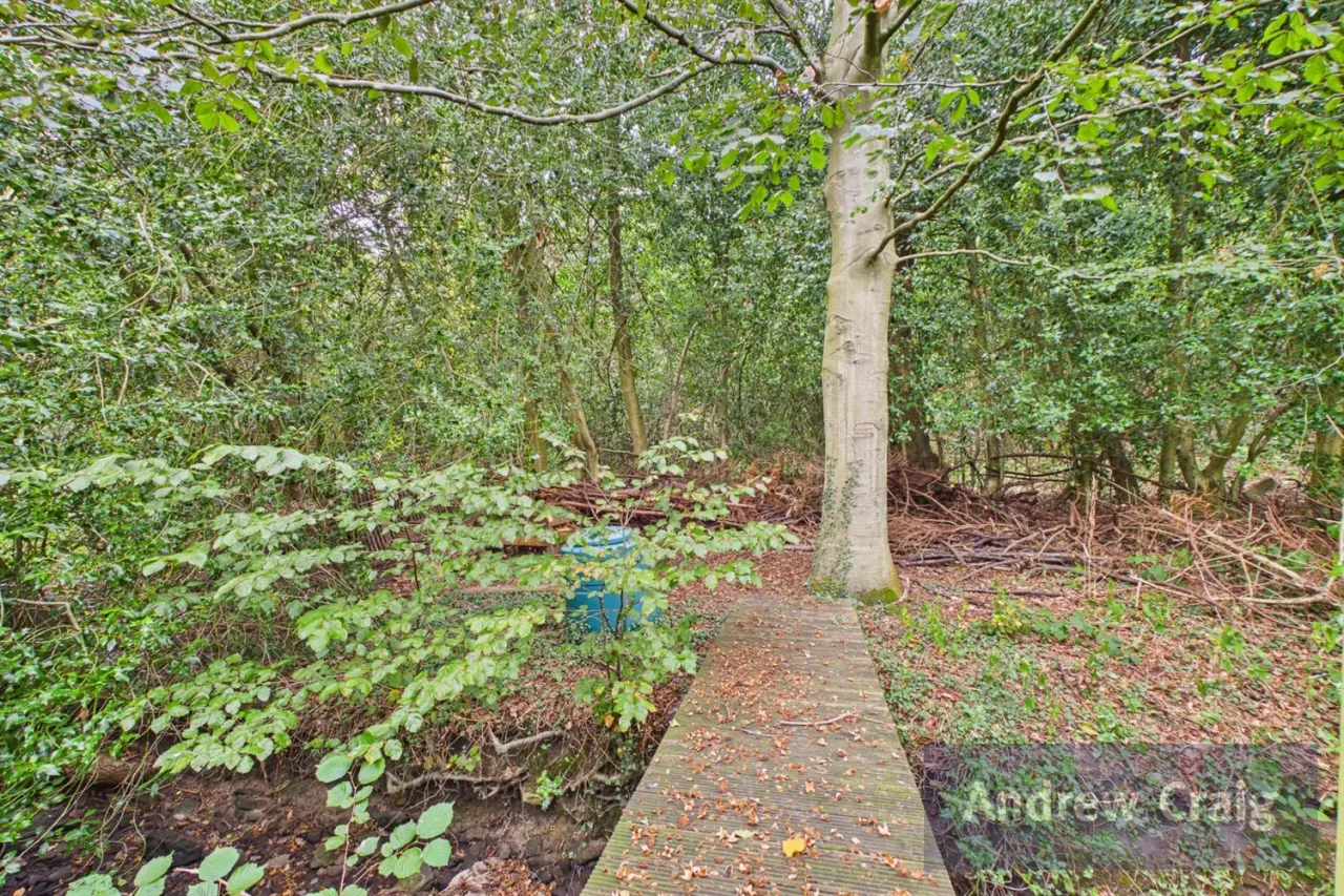 Sunniside Road, Sunniside, NE16, photo 27