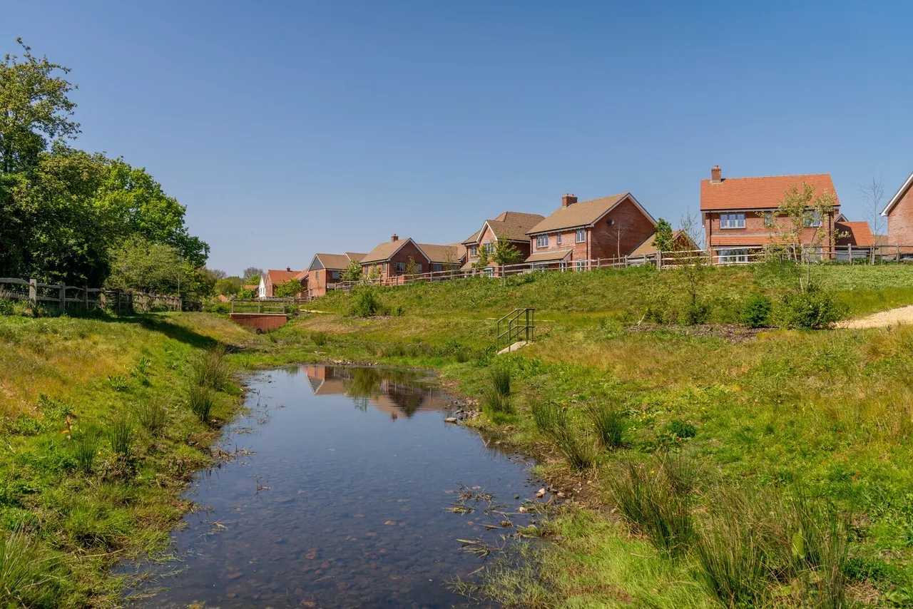 Whitsbury Road, Fordingbridge, SP6, photo 11
