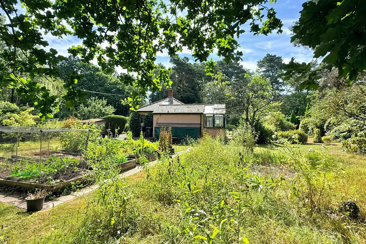 Grange Road, St. Leonards, BH24, photo 26